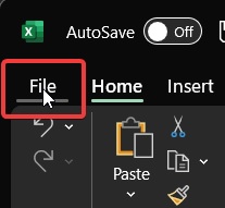 Excel 'File' button